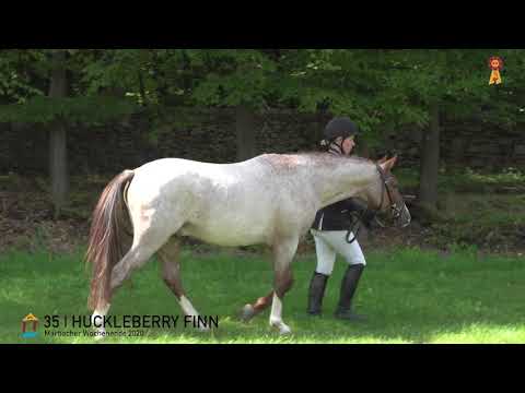 35 Huckleberry Finn v. Halifax - Schwalmprinz  *MARBACHER WOCHENENDE 2020*