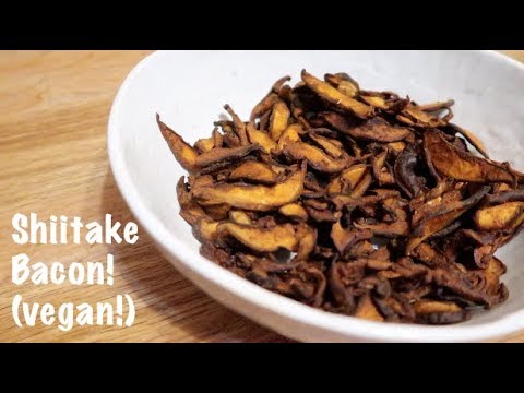 download lagu mp3 mp4 Shiitake Bacon, download lagu Shiitake Bacon gratis, unduh video klip Shiitake Bacon