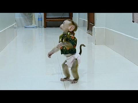 POLEE Try To Find Mom In Bedroom While Mom Taking Restroom.