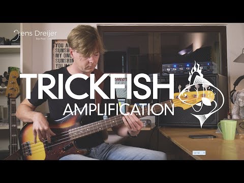 Trickfish Bullhead 1k Bass Amp image 5