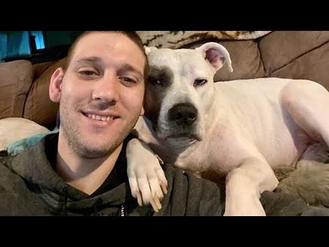 Je viens de réaliser que mon chien est spécial, drôle de chien et d'humain.