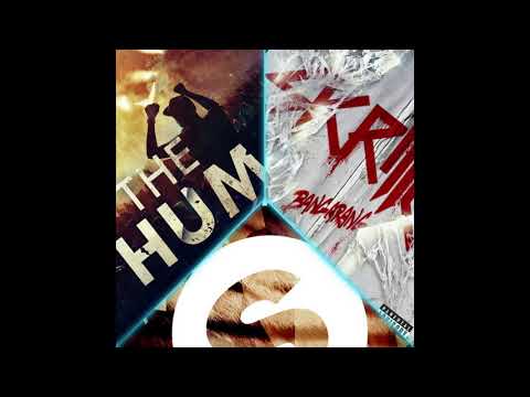 DV & LM VS SKRILLEX VS R3HAB - The Hum VS Bangarang VS Tiger (Transition)