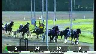 02/05/2013, Pontecagnano , Premio Camelia C.naz.