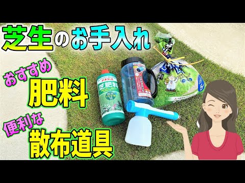 秋の芝生の肥料：いつ、どのように芝生に肥料を与えるのですか？完全ガイド  庭園