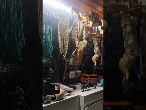 22/09/25, São Lourenço do Sul, SC.#turismo #viagem #saolourençodooeste #santacatarina