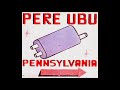 09 •  Pere Ubu - Fly's Eye