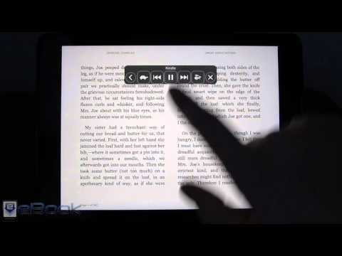 iPad & iPhone Text to Speech for Kindle, iBooks, etc ...