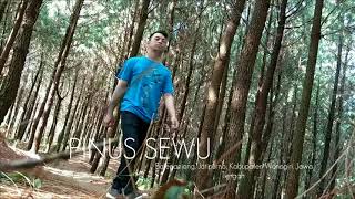 preview picture of video 'Pinus sewu Balepanjang, Jatipurno, Kabupaten Wonogiri, Jawa Tengah'