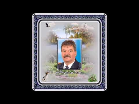 Karcagi Nagy Zoltán : Árad a Duna vize