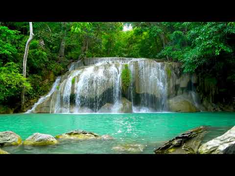 Calming Forest Tropical Waterfalls. Relaxing Nature Sounds, Waterfall 4k. White Noise for Sleeping.