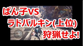 【実況】猫がじゃれているように見える(笑)【モンスターハンター：ワールド#35】