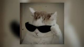 Download lagu heart attack (speed) - demi lovato mp3