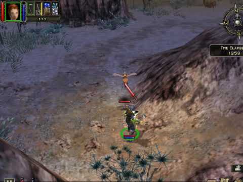 Dungeon Siege pt 41