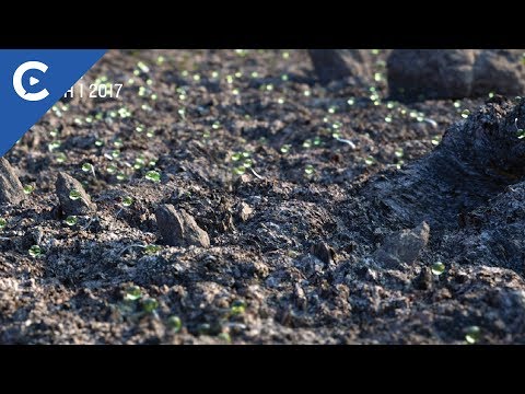 Siggraph 2018 Rewind - David Brodeur: Creating Rocks and Terrain in C4D