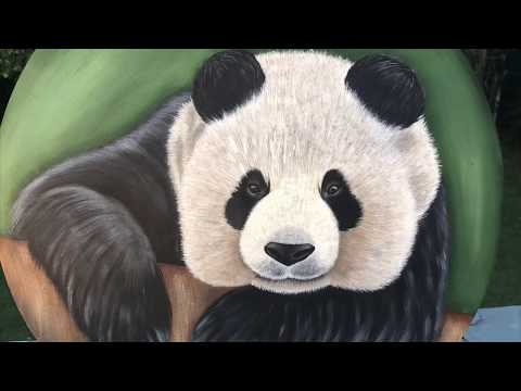 Panda Bear Acrylic Painting