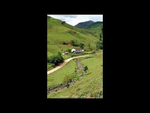 Programa: Caminho da Roça - 01/09/26 - Parte 1 - Apresentação: Paulinho