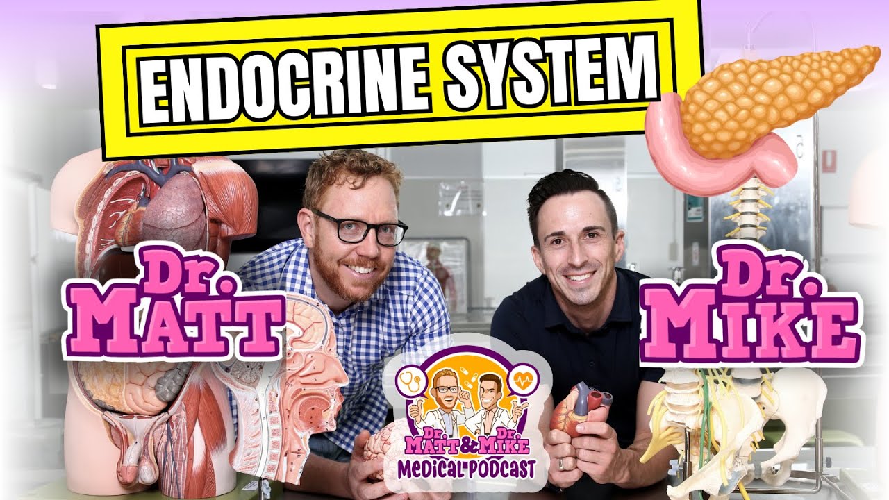 Endocrine System | Overview