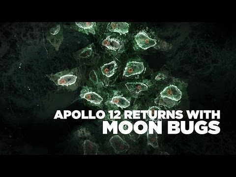 Did Astronauts Bring Moon Bugs Back To Earth? | NASA'S UNEXPLAINED FILES S3