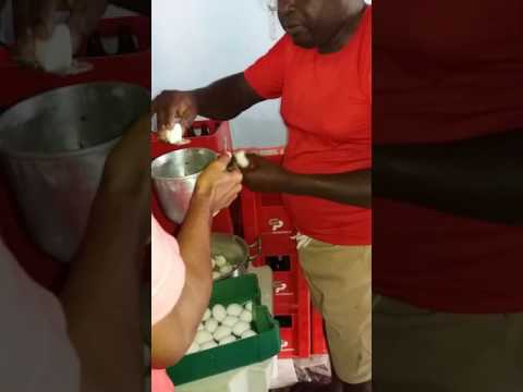 Nazare de jacuipe-BA RABICO DESAFIO COME 60 OVOS