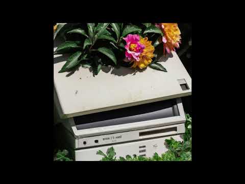 Mild Minds - IT WON’T DO