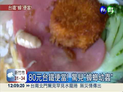 80元台鐵便當! 驚見"蟑螂幼蟲"