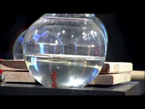 Yetenek Sizsiniz Türkiye - Ömer Kura