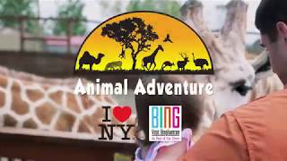 Animal Adventure Park - Harpursville, NY