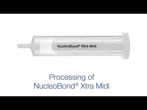 Processing of NucleoBond Xtra Midi