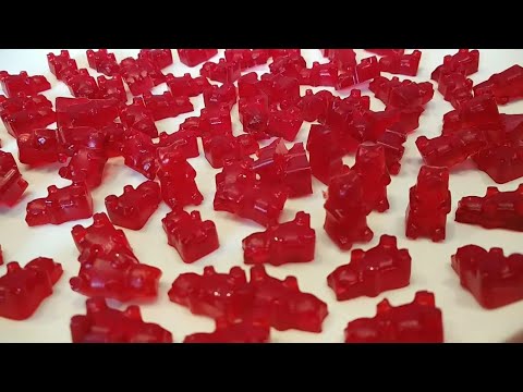 How to Make Gummy Bears | Gummy Bear | Sugar Free Jello