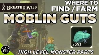 Zelda: Breath of the Wild - Where to Find/Farm Moblin Guts (High Level Monster Part)