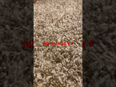 18 de octubre de 2024