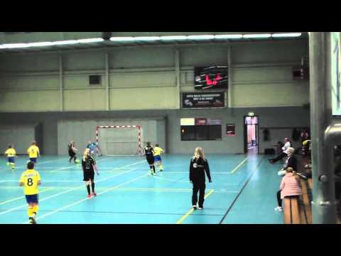 Samenvatting MD Talenten