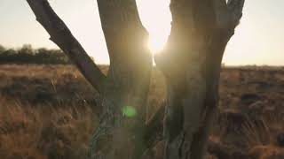 A Lei da OPORTUNIDADE a LUZ DA BIBLIA