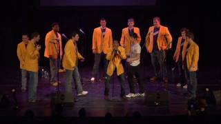 You Belong With Me (live)