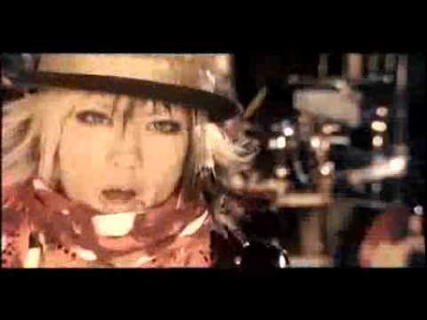Genosense - Lolita23q