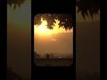 Kiska Rasta Dekhe Na Koi Tera Na Koi Mera Kishore Kumar Songs Shorts Sad Viralvideo