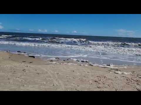 Enjoy the Exotic Beaches of Australia in 2022, Australian travel Guide