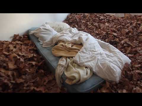 with tender indifference, | Llio Zogra + Eric Capper | Act One / Scene Nine