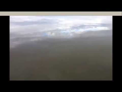 Ronnie the Bull - Interlude with synthesizer