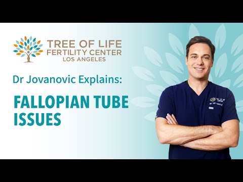 Dr Jovanovic Explains: Fallopian Tube Issues