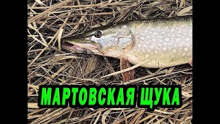 Дома для рыбалки в тверить