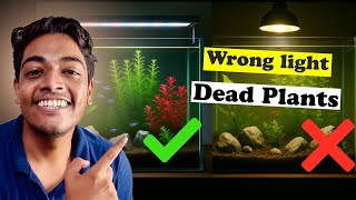 How to Choose the RIGHT Planted Tank Light - Practical Beginners Guide