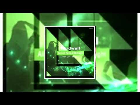Alive In Paris At Midnight (Hardwell UMF 2017 Mashup)