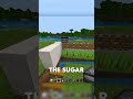STARTER AFK SUGAR CANE FARM!