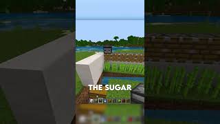 STARTER AFK SUGAR CANE FARM!