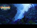 Survivor Deep Reef Intro
