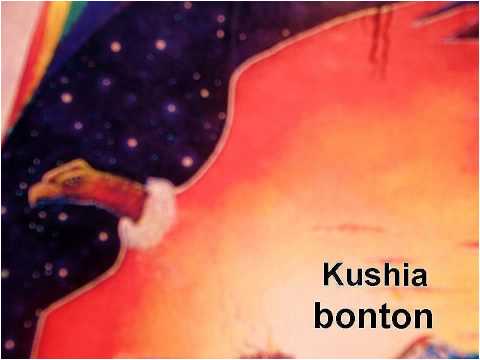 Kushia Bonton -El falseador-