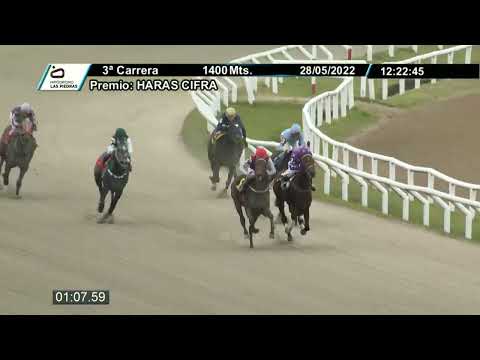 220528 C03 - PORTER - HIPODROMO LAS PIEDRAS