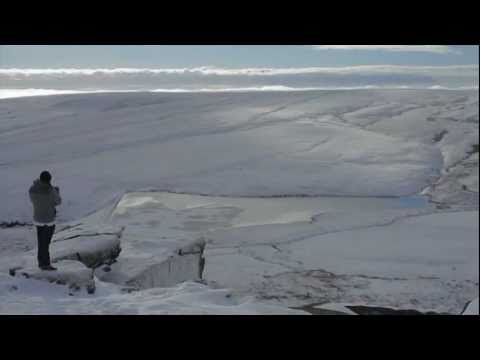 Savvy - Adapt or Die