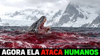 🚨 A PIOR CRIATURA que vive na Antártida ESTÁ CAÇANDO HUMANOS